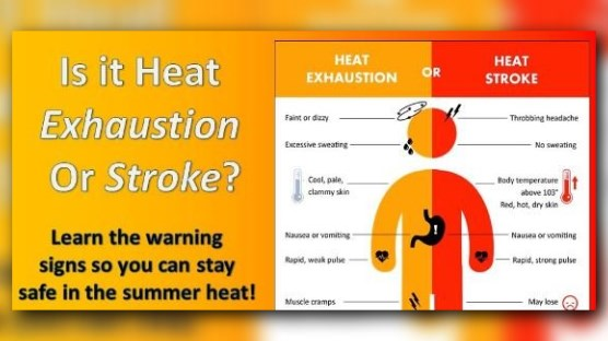 Heat Stroke Vs. Heat Exhaustion: Warning Signs You Need To Know | Wtsp.com